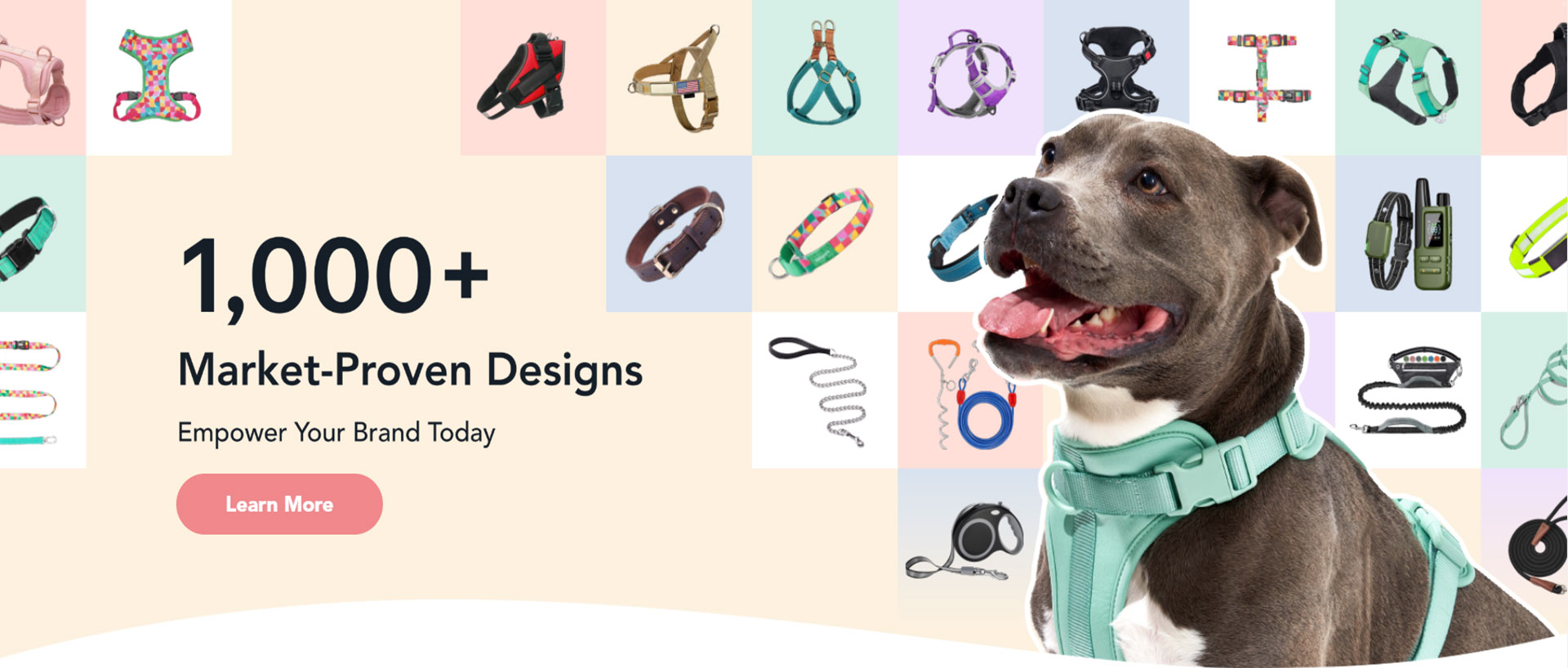 Custom Dog collar