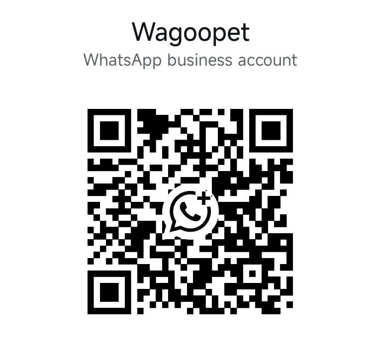 the qr code