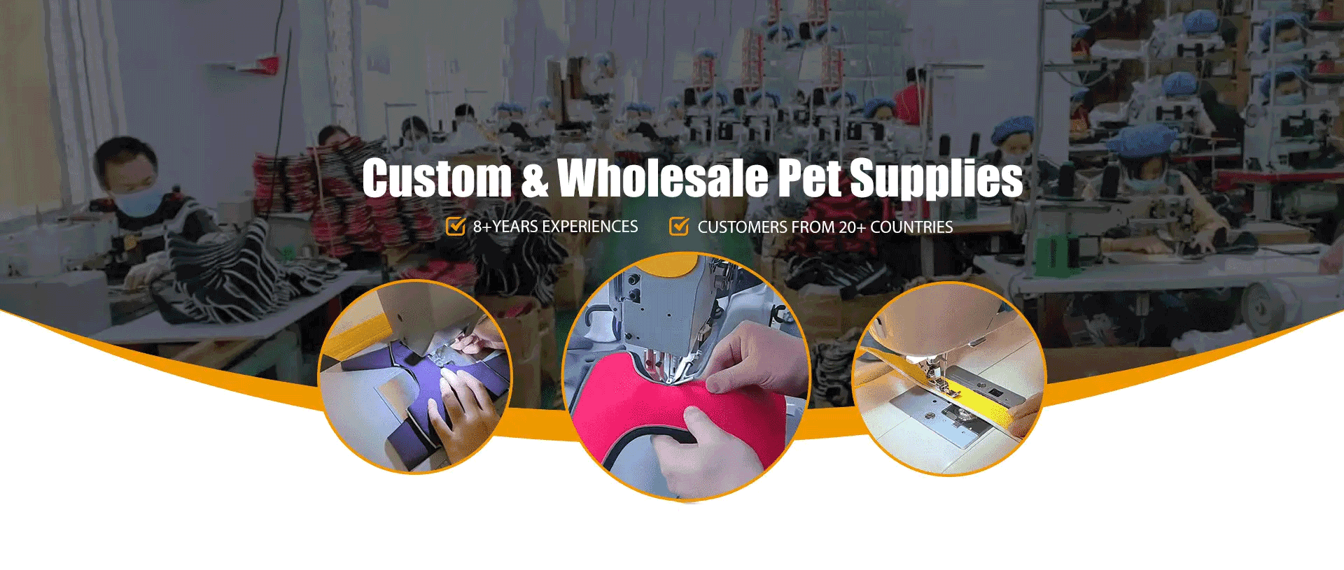 Custom Dog Harness & Leash Manufacturer in China | OEM Pet Products Supplier