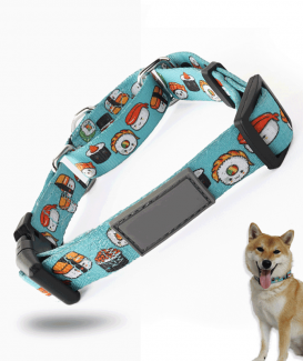 Pet Dog Neoprene Padded Printed Dog Leash with Customized Logo and Pattern