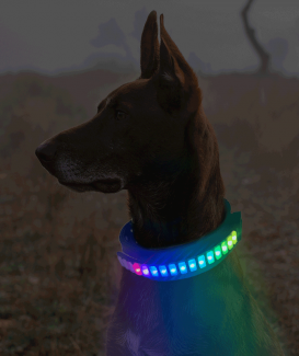 LED Light Up Dog Collar for Night Walking