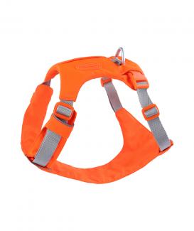 Adjustable No Pull Dog Harness for Walking and Training