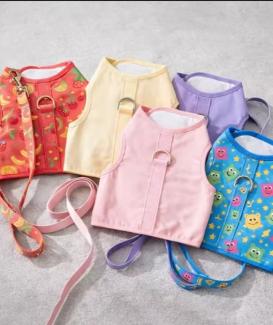Soft Cat Harness and Leash Set for Indoor Outdoor Walking