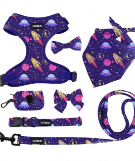 Space Print Dog Harness and Leash Set
